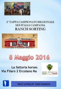 2_tappa_ranch_sorting-a49b9f5d